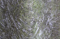 Merchiston fibreglass roof work